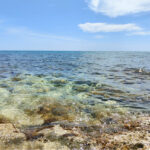 isa036_associated_04